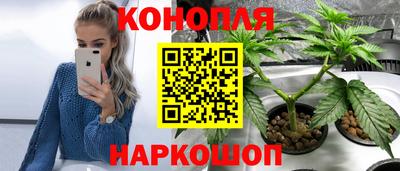spice Жуковский