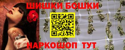 шишки Заводоуковск