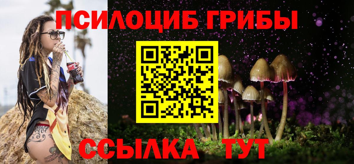 Галлюциногенные грибы мицелий  Вход с VPN  Лесосибирск 